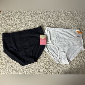 Women’s Bundle of 2 Large High Waisted Brief Underwear NWT